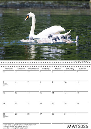 Southend on Sea Calendar May 2025