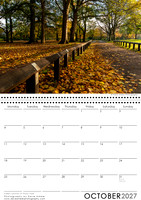 Fallen Leaves at Priory Park