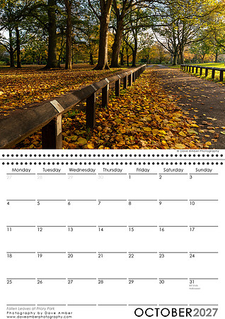 Fallen Leaves at Priory Park