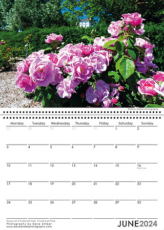 Leigh on Sea Calendar June 2024