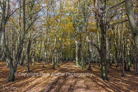Gusted Hall in Autumn