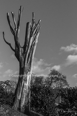Cliff Gardens 3