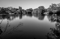 Lake Meadows BW