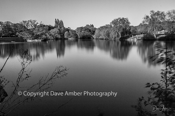 Lake Meadows BW