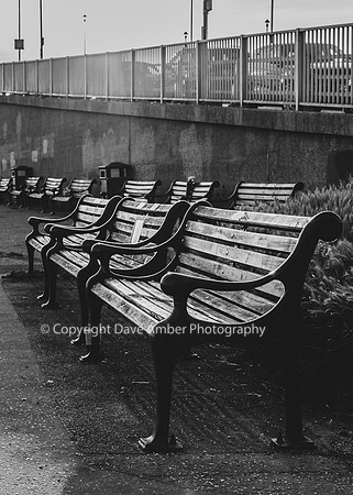 Old Leigh benches Black and White Portrait