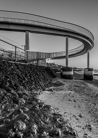 Gypsy Bridge Black and White Portrait
