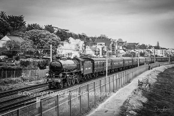 Mayflower steam train