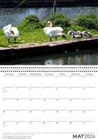 Southend on Sea Calendar 2026 May